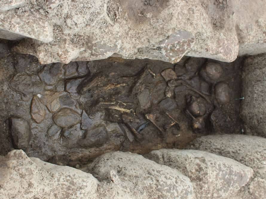 Ученые обнаружили кладбище детей эпохи неолита (Фото)