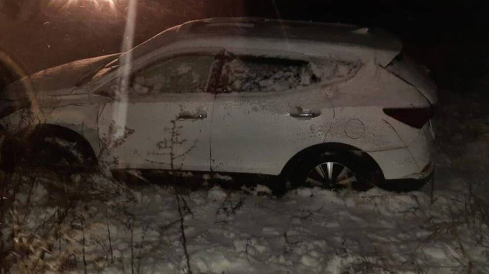 В Воронежской области водитель в метель вылетел в кювет: погибла пассажирка