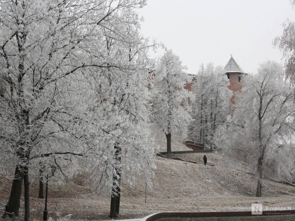 Морозы до -26°С придут в Нижний Новгород на этой неделе