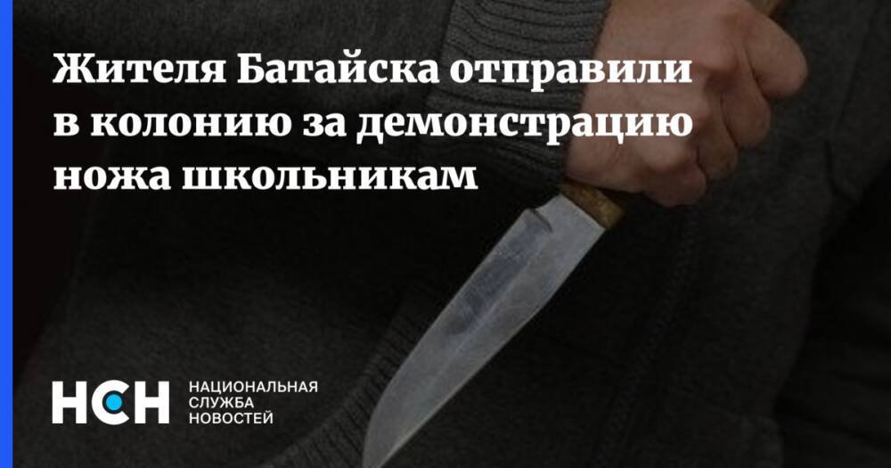 Жителя Батайска отправили в колонию за демонстрацию ножа школьникам