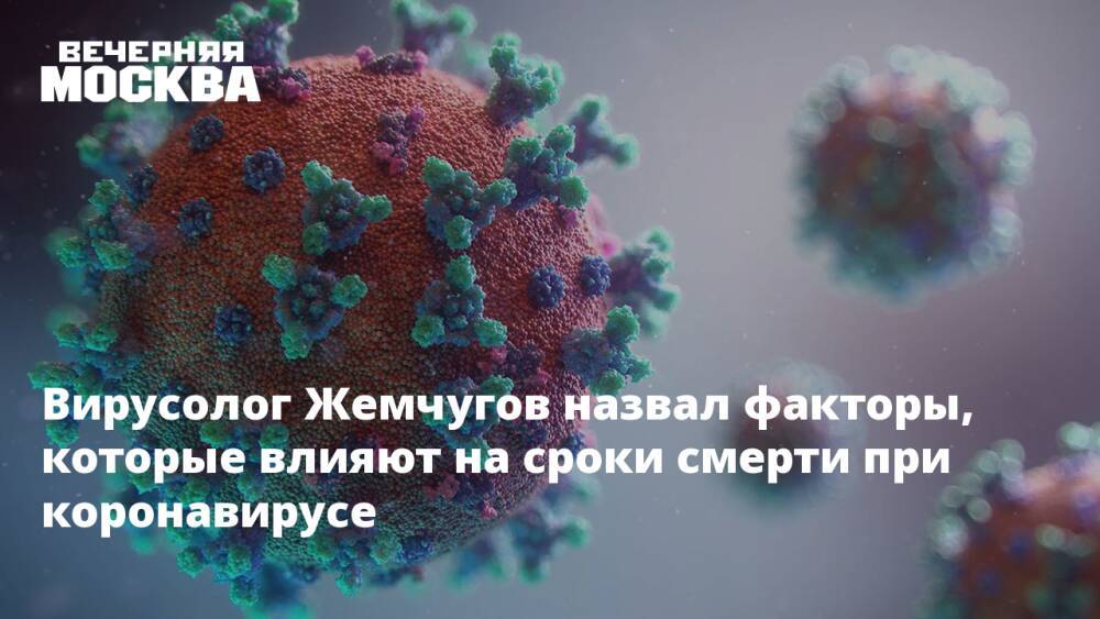 Вирусолог Жемчугов назвал факторы, которые влияют на сроки смерти при коронавирусе