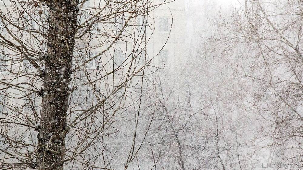 Снег с дождем, метели, гололедица: погода продолжает испытывать южноуральцев