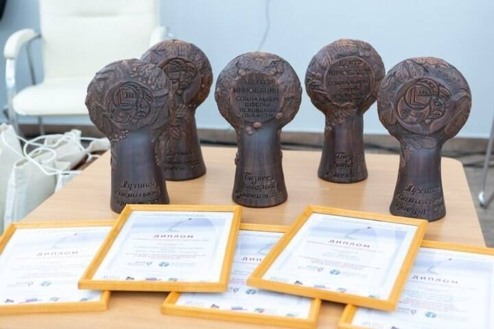 В Псковской области назвали лучшие региональные проекты в области социального предпринимательства