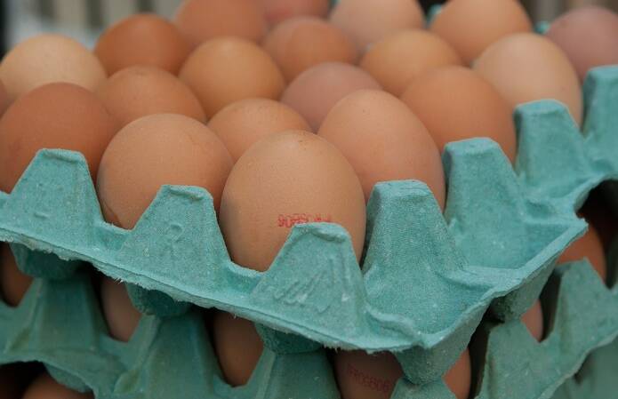 Производство яиц сократилось на 13,5%