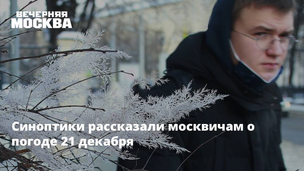 Синоптики рассказали москвичам о погоде 21 декабря