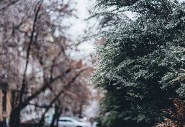 Прогноз погоды на 21 декабря: в Украине ударят морозы, местами до -12 градусов