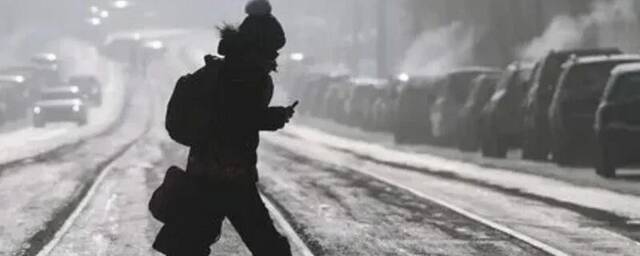 Московским школьникам разрешено не ходить на уроки в морозы -25 градусов