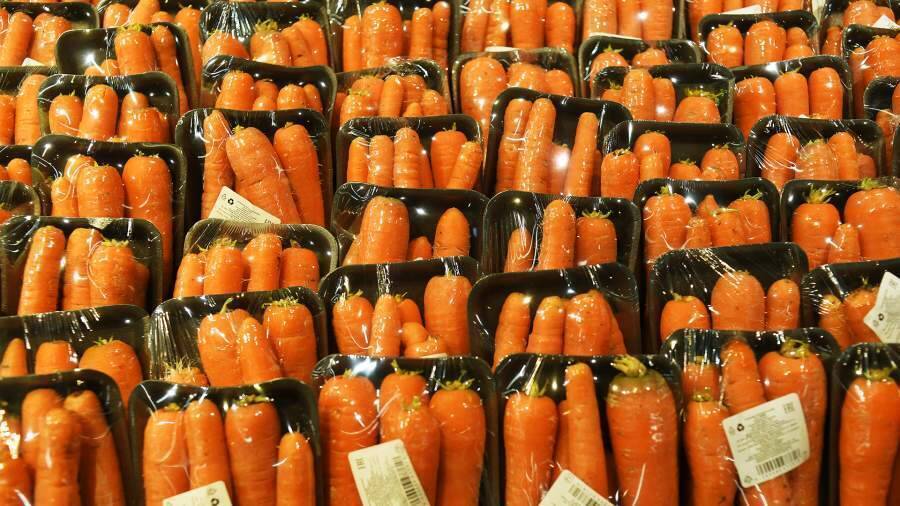 В состоянии овоща: почему в России не растут урожаи капусты и моркови
