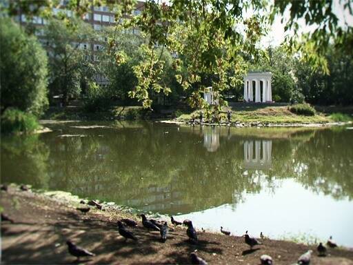 Гордума Екатеринбурга рассмотрит вероятность строительства жилых домов у Харитоновского парка