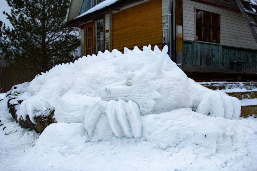 В Тверской области появился снежный дракон