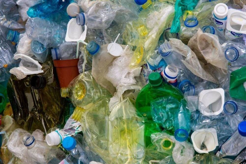 Ленобласть позаимствует опыт по переработке мусора в Подмосковье