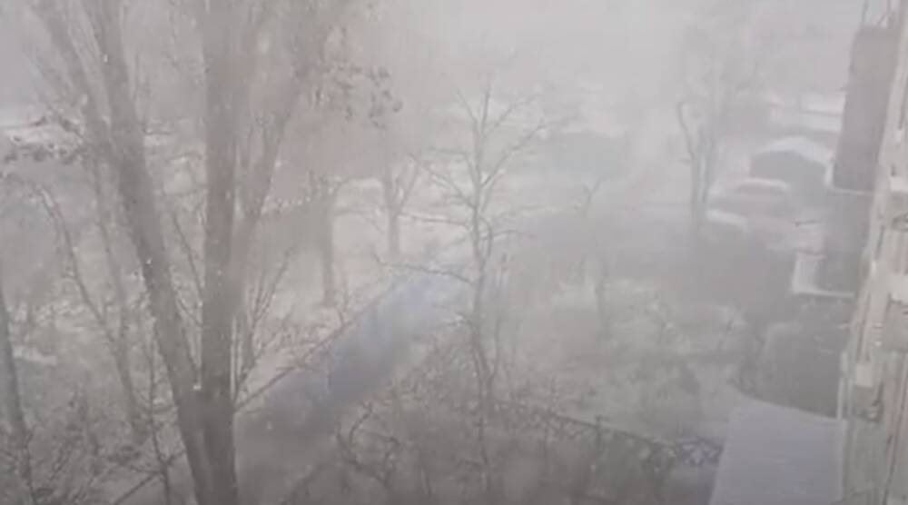 Снегом начало заметать Одессу, кадры: остановлено движение и падают деревья