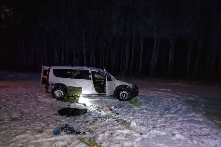 В Тамбовской области легковушка слетела с дороги: пострадали водитель и пассажир