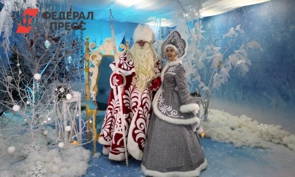 В Иркутске Дед Мороз обзавелся «Вайбером» и ушел в онлайн-приемную