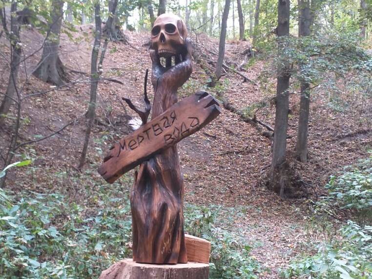 В Воронеже с экотропы похитили деревянную скульптуру "Мёртвая вода"
