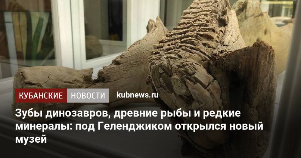 Зубы динозавров, древние рыбы и редкие минералы: под Геленджиком открылся новый музей