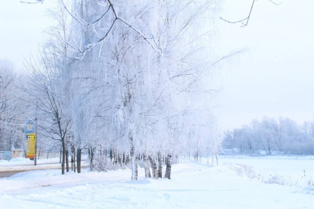 В Тверской области объявлен оранжевый уровень опасности из-за мороза