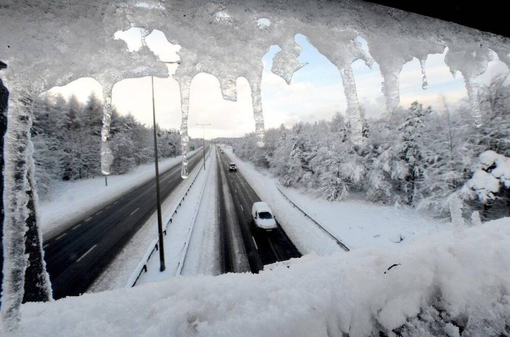 Сильный снег, метель и гололедица – погода в Ленобласти на 23 декабря