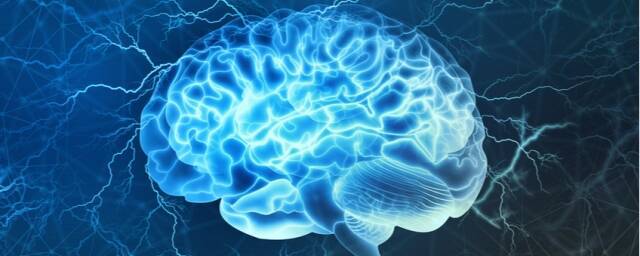 MedicalXpress: немецкие исследователи разработали новую теорию сознания