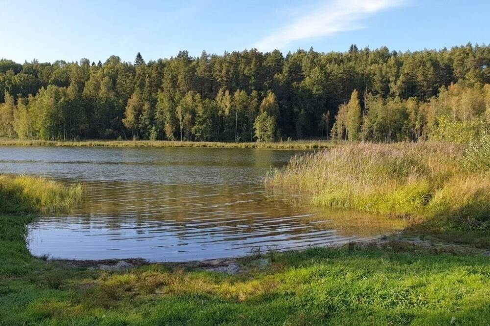 В России в первом чтении приняли закон о возможности приватизации земель в водоохранных зонах