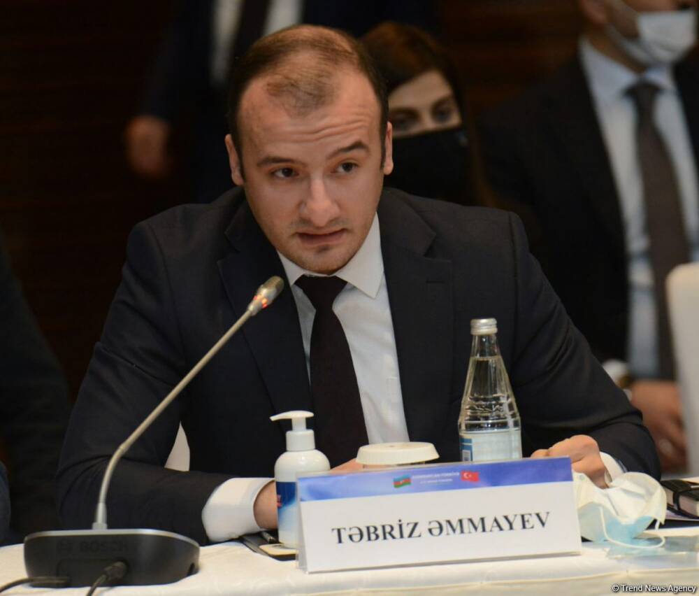 Азербайджан продолжит изучать опыт Турции в переходе на "зеленую" энергию - Тебриз Аммаев