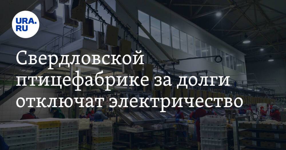 Свердловской птицефабрике за долги отключат электричество
