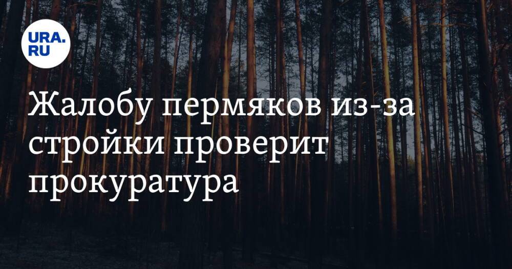 Жалобу пермяков из-за стройки проверит прокуратура