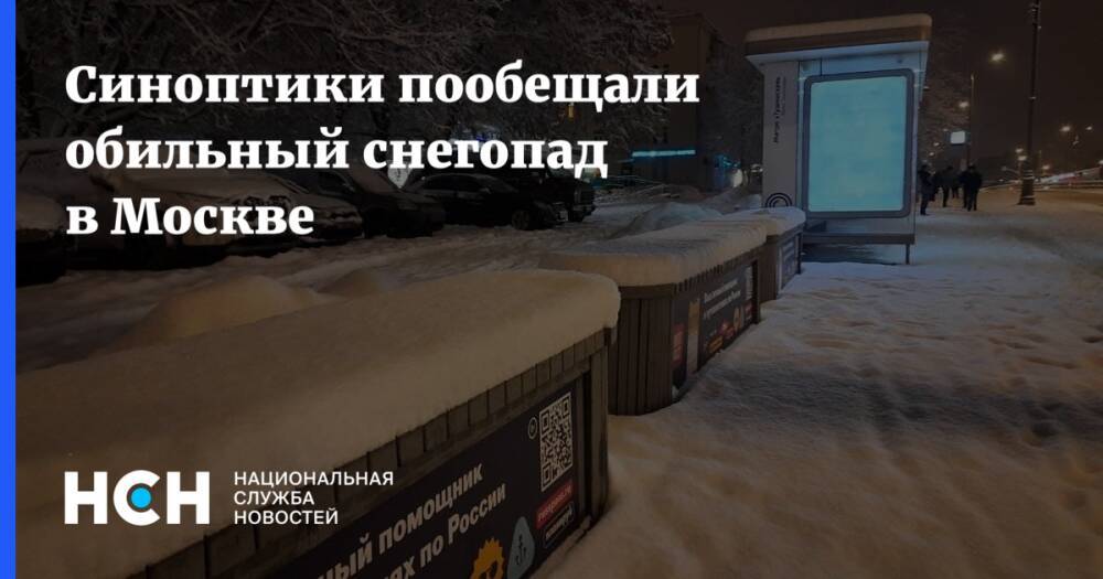 Синоптики пообещали обильный снегопад в Москве