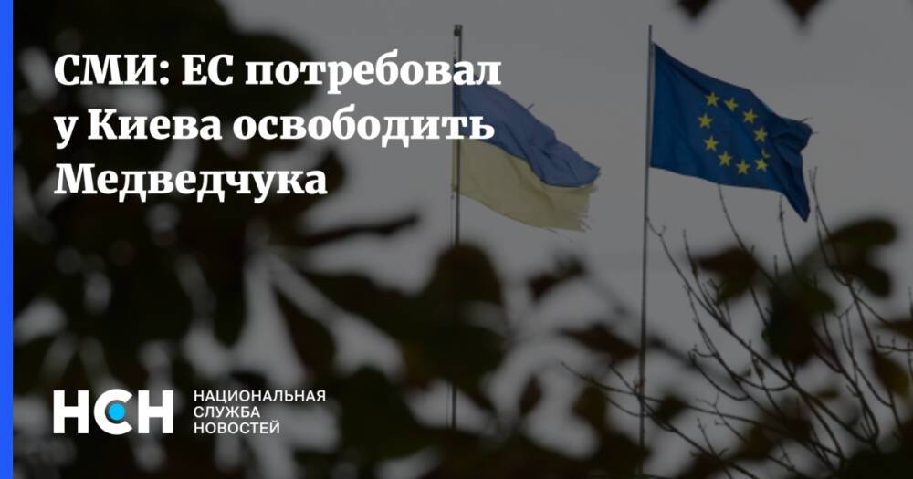 СМИ: ЕС потребовал у Киева освободить Медведчука