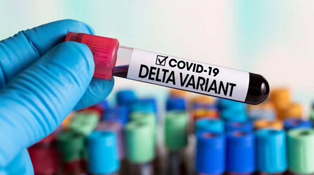 В Украине обнаружили 12 вариантов дельта-штамма коронавируса – НАН