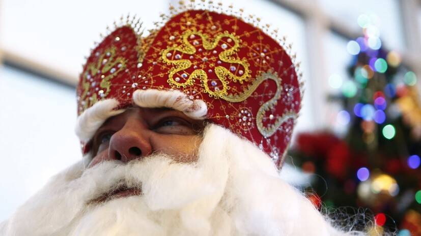 Юрист попросила привлечь к ответственности жителя Петербурга за иск против Деда Мороза
