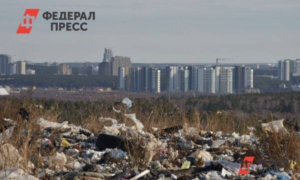 Эксперт о ситуации с отходами в Петербурге: «Город после Нового года утонет в мусоре»
