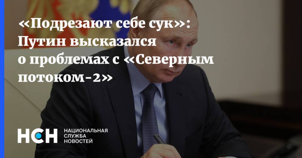 «Подрезают себе сук»: Путин высказался о проблемах с «Северным потоком-2»
