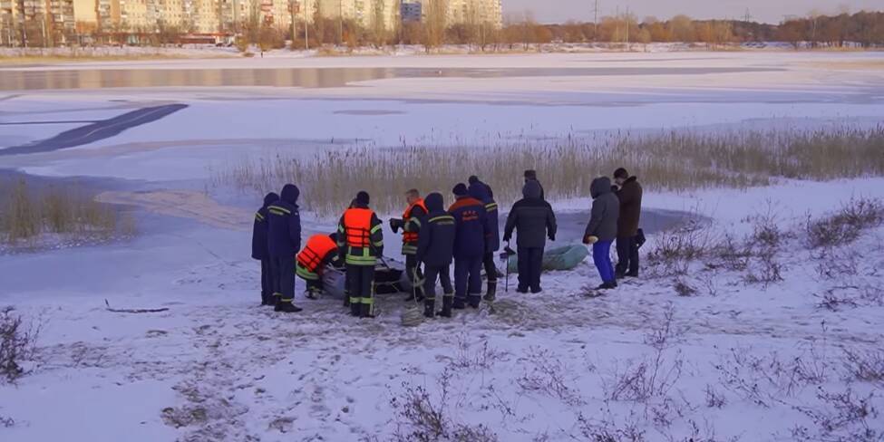 Лебеди на Чистом озере в Северодонецке оказались в ледяной ловушке: спасатели нашли решение проблемы (видео)