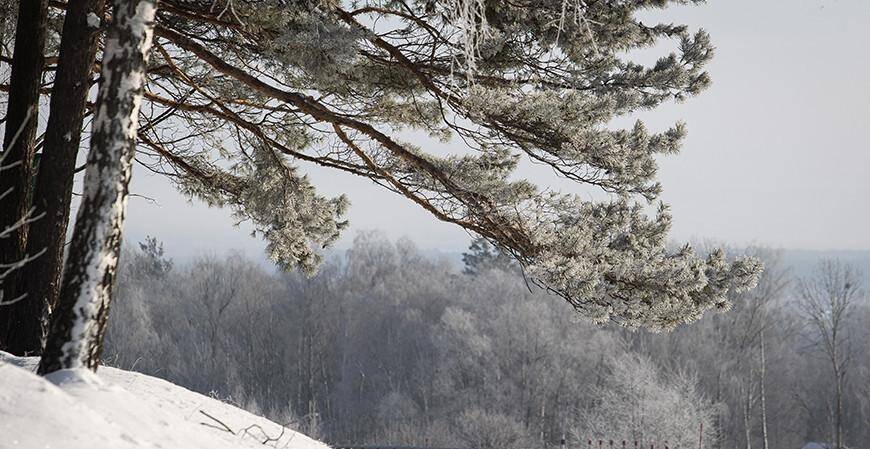 Снег и до -19°С ожидается в Беларуси в выходные