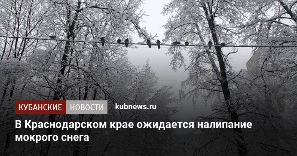 В Краснодарском крае ожидается налипание мокрого снега