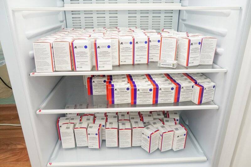 В Воронежской области обе прививки от коронавируса получили уже 1 255 250 человек