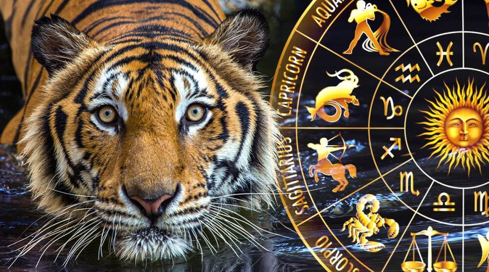 Гороскоп на 2022 год: Что готовит год Водяного Тигра знакам Зодиака