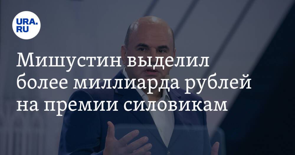 Мишустин выделил более миллиарда рублей на премии силовикам