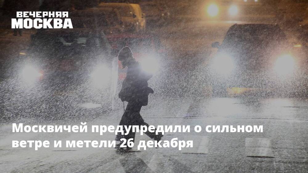 Москвичей предупредили о сильном ветре и метели 26 декабря