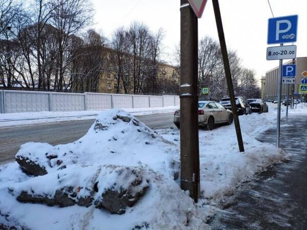 Жители Центрального района Санкт-Петербурга требуют привлечь чиновников к ответственности из-за неубранных от снега улиц