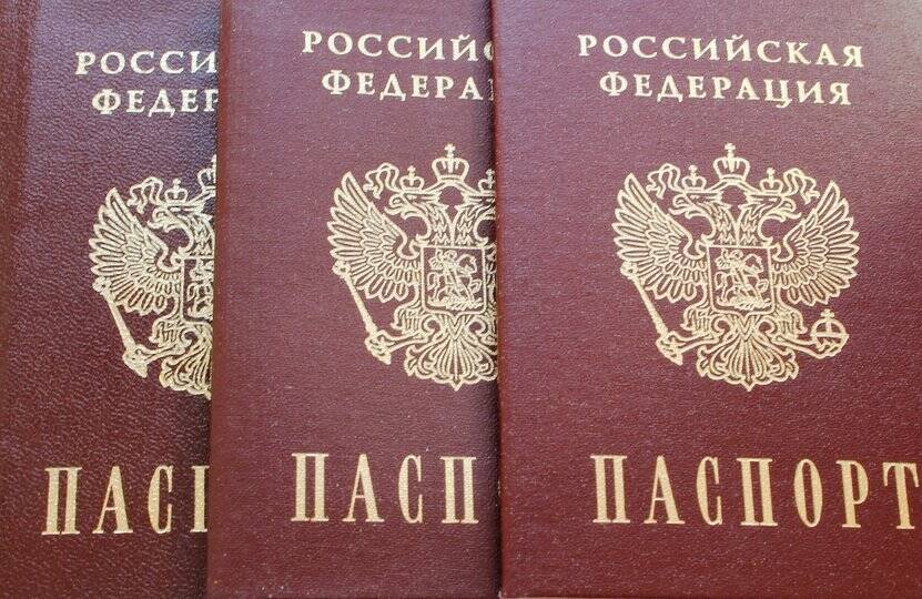 С 2023 года в России планируют начать выдавать электронные паспорта