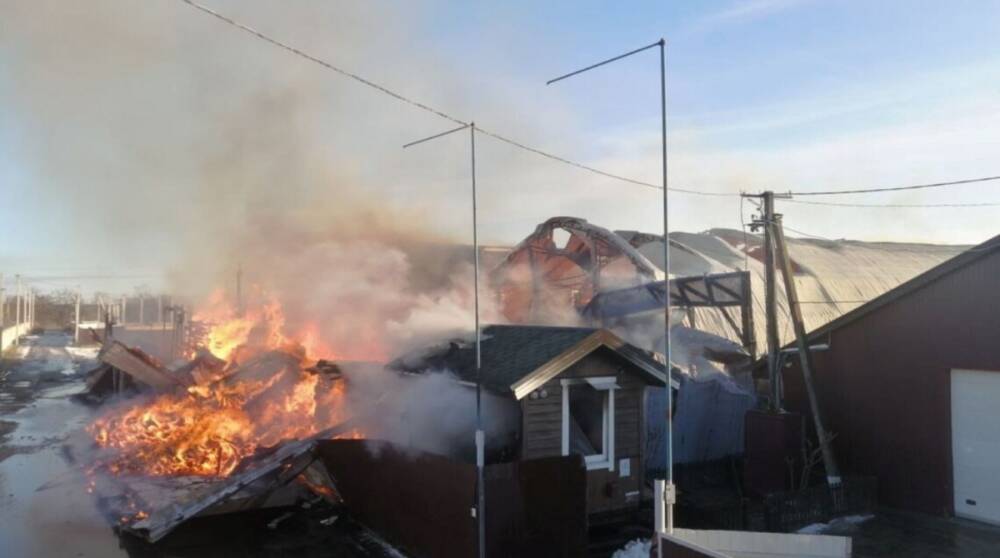 Под Киевом вспыхнул масштабный пожар на пилораме