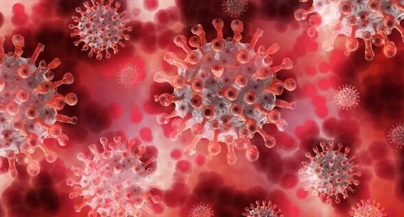 Учёные: Эволюционировавший штамм «альфа» значительно ослабляет иммунитет