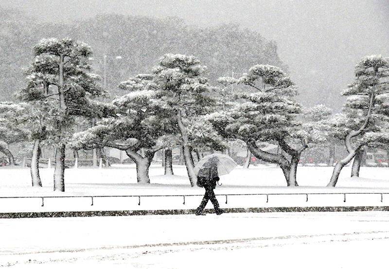 Японию накрыл мощный снегопад: отменены сотни авиарейсов