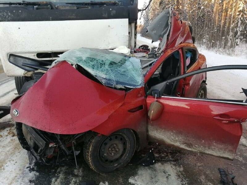 Два ребенка пострадали и двое взрослых погибли в ДТП в Нижегородской области