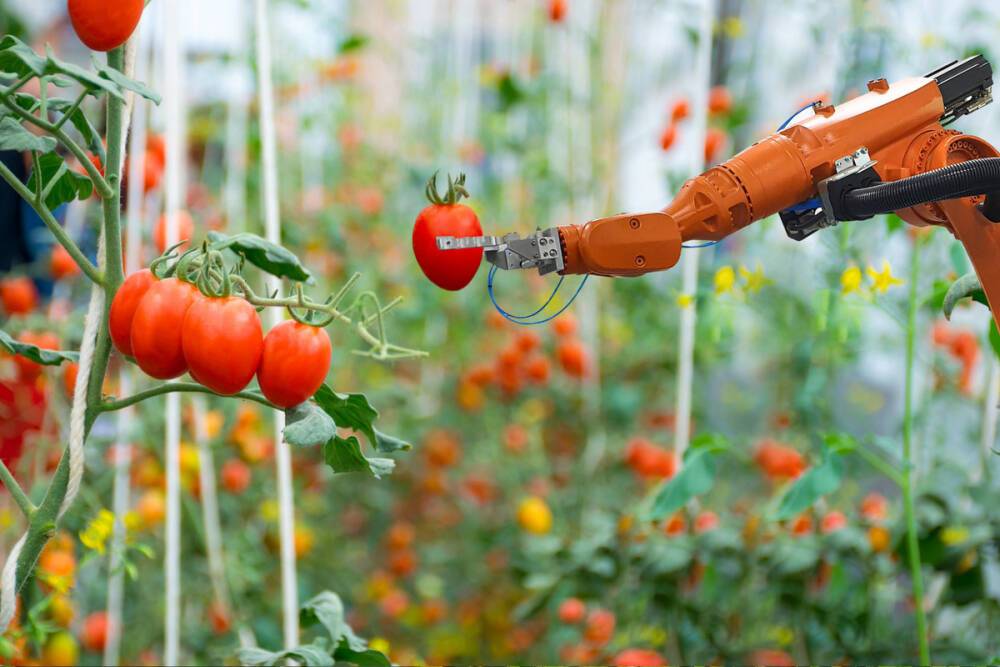 Петербургские ученые создали роботов для сельского хозяйства