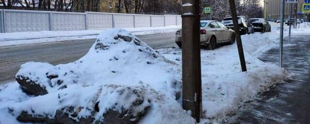 Петербуржцы намерены привлечь чиновников к ответственности за уборку Ставропольской улицы