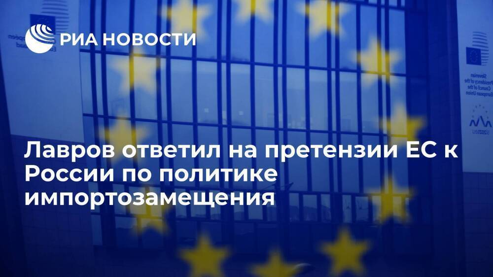 Лавров назвал претензии ЕС к России по политике импортозамещения позорным шагом
