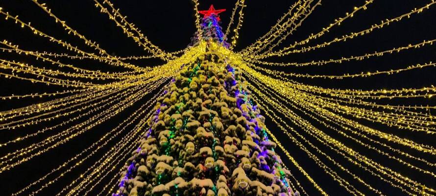 Главная елка Петрозаводска увешана «головами гномов» (ФОТО)